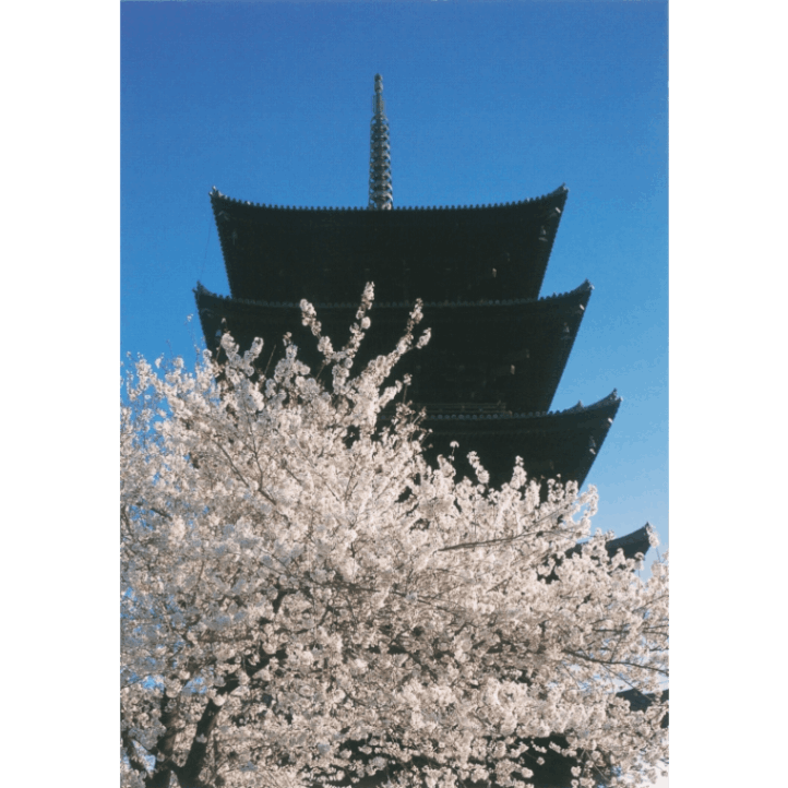 絵はがきセット〈東寺 金堂〉(14枚組)京都便利堂オンラインショップ