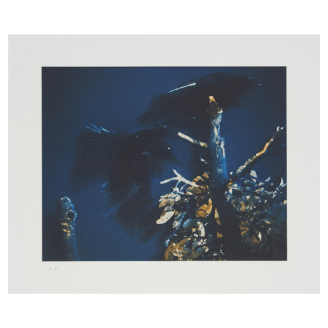 限定5部】コロタイププリント 深瀬昌久〈Raven Scenes 烏景〉 002京都