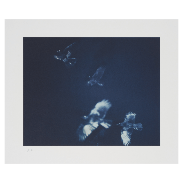 限定5部】コロタイププリント 深瀬昌久〈Raven Scenes 烏景〉 005京都