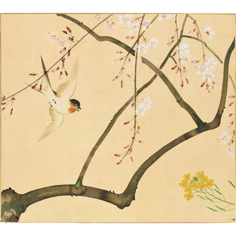 色紙〈四季花鳥図巻(春)〉酒井抱一京都便利堂オンラインショップ