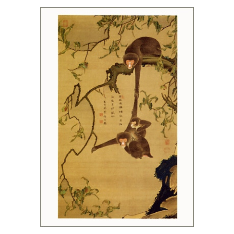 1_000000001445.png?1748500869