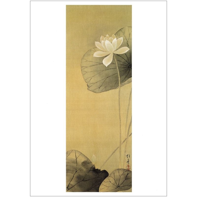 感謝祭クーポン対象】絵はがき〈白蓮図〉酒井抱一京都便利堂オンライン