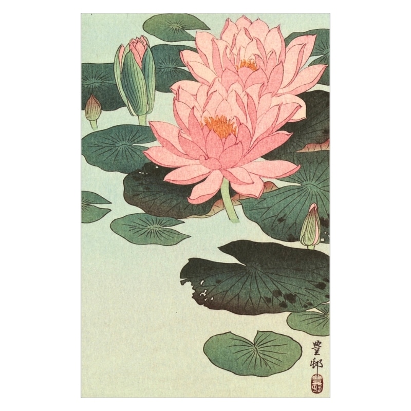 コロタイプ絵はがき〈季趣五題 なつはじめ 睡蓮〉小原古邨 BC-020京都