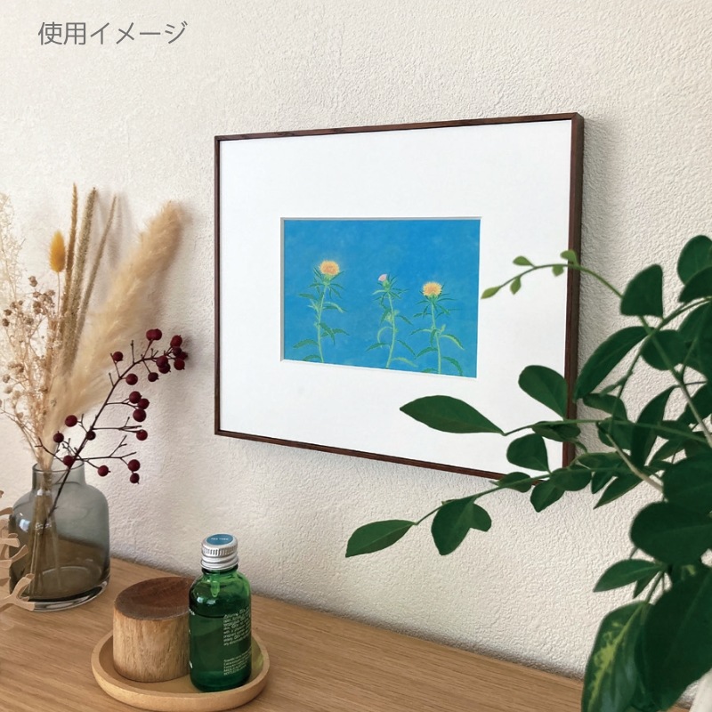 ハガキをカンタン入れ替え〈マグネットフレーム〉京都便利堂オンライン