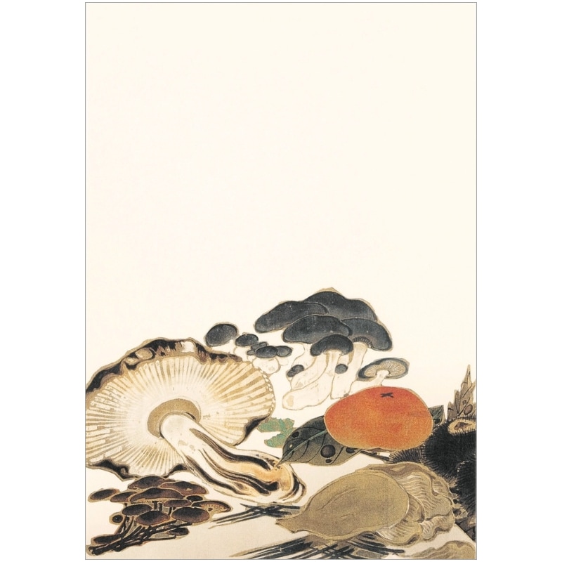 絵はがきセット〈重文 菜蟲譜(さいちゅうふ)〉伊藤若冲(8枚組)京都便利