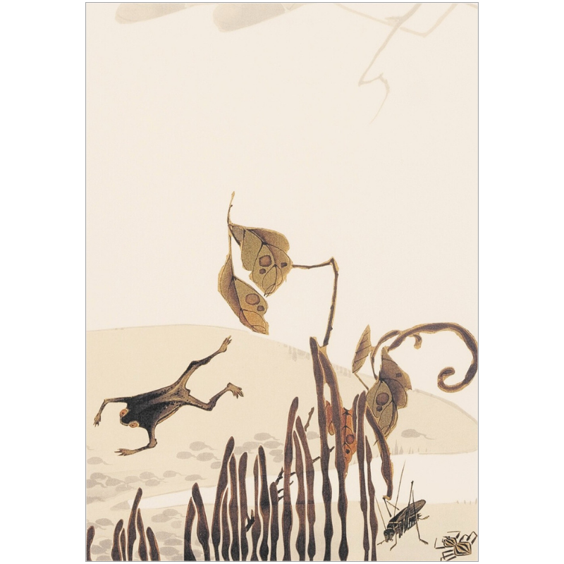 若冲画譜（オマケ付き） 若冲画譜（オマケ付き）