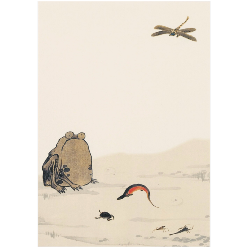 沖縄の美術　十五人集 沖縄の美術 十五人集(沖縄教育出版編集部) / ライフセンター