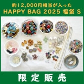 2025 ʡ HAPPY BAG 2025 ʡ Sۡ12,000äʡޡ̵ۡۡڸȯۡڥ饹ӡ ϥɥᥤ ӡ