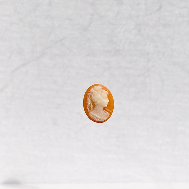 ץ饫ᥪ10x8mmͥꥢ󡡱