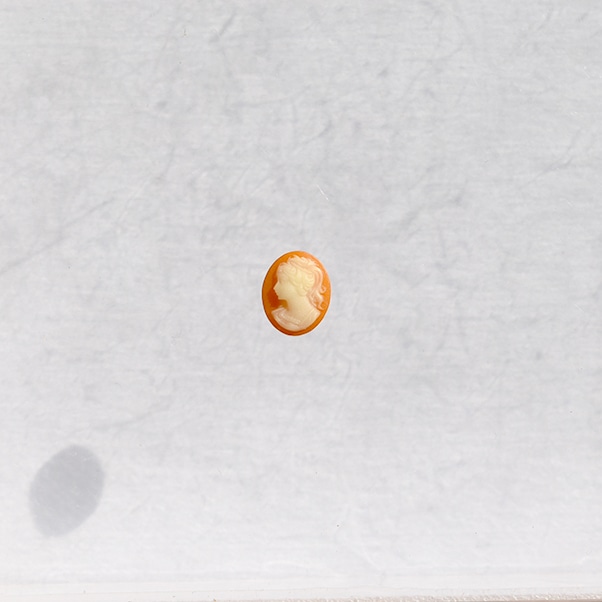 ץ饫ᥪ10x8mmͥꥢ󡡺