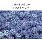 チェコビーズ フラットフラワー フロストベリー 1袋5個入り  8mm ガラス ビーズ アクセサリー ハンドメイド パーツ 手芸|フラワー&リーフ|チェコビーズ