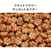 チェコビーズ フラットフラワー サンセットネクター 1袋5個入り  8mm ガラス ビーズ アクセサリー ハンドメイド パーツ 手芸|フラワー&リーフ|チェコビーズ