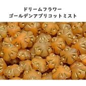 ドリームフラワー ゴールデンアプリコットミスト チェコビーズ 11x11mm 2個 花 ガラス ビーズ|新商品|チェコビーズ