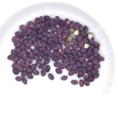 Vå pp13 ץ쥷 ᥸ȥѡ F MAXIMA ȥ ޥ ꥹ 饤󥹥ȡ CRYSTAL PRECIOSA