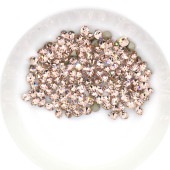 Vå pp13 ץ쥷 ơ F MAXIMA ȥ ޥ ꥹ 饤󥹥ȡ CRYSTAL PRECIOSA