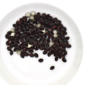 Vå pp13 ץ쥷  F MAXIMA ȥ ޥ ꥹ 饤󥹥ȡ CRYSTAL PRECIOSA