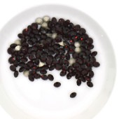 Vå ss24 ץ쥷  F MAXIMA ȥ ޥ ꥹ 饤󥹥ȡ CRYSTAL PRECIOSA