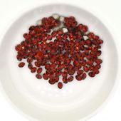 Vå ץ쥷 PP11 åɥ٥٥å F MAXIMA ȥ ޥ ꥹ 饤󥹥ȡ CRYSTAL