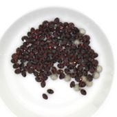 Vå ץ쥷 PP13 Сǥ F MAXIMA ȥ ޥ ꥹ 饤󥹥ȡ CRYSTAL