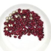 Vカット プレシオサ SS19 ルビー F MAXIMA チャトン マキシマ クリスタル ラインストーン CRYSTAL|レッド・ピンク系|プレシオサ