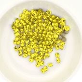 Vå ץ쥷 PP13 ȥ F MAXIMA ȥ ޥ ꥹ 饤󥹥ȡ CRYSTAL