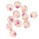 �ϥ�ɥᥤ�ɥӡ��� �������ӡ��� ��13mm �ޡ��֥�ԥ� 1�� ���饹 �ǥ����� �ӡ��� ��� ���������꡼ �ѡ��� �ԥ��� ������ �֥쥹��å� �ͥå��쥹