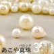 �ڤޤȤ��㤤����ۤ����� �Х��å��ѡ��� 3������ �饦��� �̤��� ������ ���� �ӡ��� �ѡ��� �ۥ磻�� ���������꡼ �ϥ�ɥᥤ�� ��� ���� ���� �Ǻ�