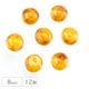 �������ӡ��� PB �饦��� 8mm 12�� �������ƥ��åɥ������� �ץ쥹�ȥӡ��� ���饹 �ӡ��� ��� ���������꡼ �ϥ�ɥᥤ�� �ѡ���