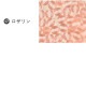 �������ӡ��� �ץ쥹�ȥӡ��� �饦��� 12�� ��6mm ��17�� �ӡ��� �ѡ��� ���饹 ���������꡼ �ϥ�ɥᥤ�� ��� ���� ���� �Ǻ� ������ �ݶ�