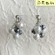 �񻺥ץ�ѡ��� �饦���10mm 1��(��13��)����12�� (�������Ӥ�������)