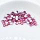 �ե�åȥХå� VIVA12 �ץ쥷���� SS6 ������ F ���ꥹ���� �饤�󥹥ȡ��� CRYSTAL PRECIOSA