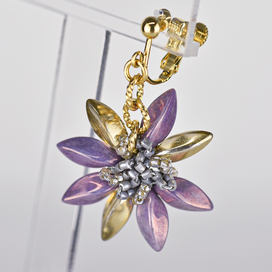 ڥݥоݳۥĥȥӡ󥰡ԥ  ͻBEADER Salon å Ӥ 1å ѡ ꡼ ϥɥᥤ  