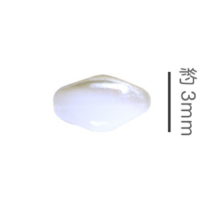 �ڴ��ָ���SALE�ۥ������ӡ��� �ĥ���ۡ��� 5mm��3m 10g ��130γ  ���硼���ۥ磻�ȡߥ֥�å��֥��� ��ķ� �ԥ��� ������ �ϥ�ɥᥤ�� ���ѥå����꡼�� �Ǻ� ���������饹 �ӡ��� �ѡ��� ���饹�ӡ��� ���������꡼ ���