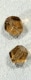�ڥ����ȥ�åȡۥ������ӡ��� FP �ʥ����åȥ��å� 12mm ���⡼���ȥѡ����ե������ݥ�å����ѷ� �ʥ����åȥ��åȼ�� �ӡ��� �ѡ��� ���饺�ӡ��� ���饹 ���������꡼�ѡ��� �ϥ�ɥᥤ�ɥѡ���