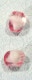 �������ӡ��� FP �ʥ����åȥ��å� 12mm �ԥ󥯥ۥ磻�ȥե������ݥ�å����ѷ� �ʥ����åȥ��åȼ�� �ӡ��� �ѡ��� ���饺�ӡ��� ���饹 ���������꡼�ѡ��� �ϥ�ɥᥤ�ɥѡ���