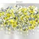 �������ӡ��� �ե���ե������� �ޥ��奢���꡼�� 3.2��6.5mm �ӡ��� �ѡ��� �ե���ե����� ���饹�ӡ��� �����ɥӡ��� ���������꡼ �ϥ�ɥᥤ�� ��� ���� ���� �Ǻ� �ԥ���