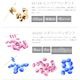 ����̵�� ���ƥ�����ե�������ʡ�� ���饹 �ӡ��� �饤�󥹥ȡ��� �������� ����ե� ���������꡼ �ѡ��� �ϥ�ɥᥤ�� ��� ������ �ץ쥼��� Swarovski ���� ���ե� ��ڡ�2��4������������ä�8,000�ߡ�