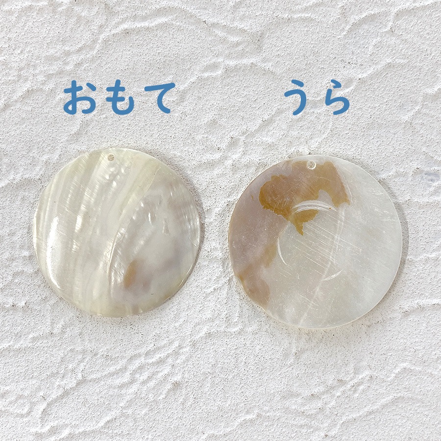 大人気 天然素材 貝 シェル ラウンドプレート 1穴 約50mm ナチュラル