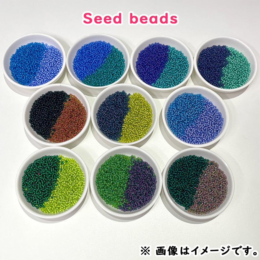 2024 ʡ SUMMER BAG L ӡ 쥯 ѡ 11,000ʡޡ̵ۡۡڸȯۡڥ饹ӡ ϥɥᥤɡ