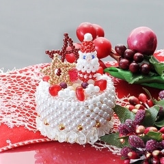 �ڥ��ե졦�ɥ������ȡ��ۥ��󥿥��������Υ��ꥹ�ޥ������� �ڥӡ����ޥ˥���