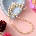 �ޡ�����åȤΥͥå��쥹  �ں�ȡ����ռ��š�N��ˡ�
