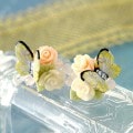 �鯤Ȳ�����ĳ���Υԥ���or������  �ں�ȡ�NARUMIDO��