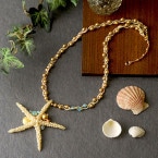 Starfish  �ں�ȡ���ƣ�ݻҡ�