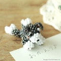 5/27 ١ ޤä긤ߥ˥奢ʥJoseph  ںȡMiniera doro