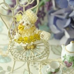 ����ߤ���󥷥꡼��������������� �ں�ȡ�Lovely����������դ��������