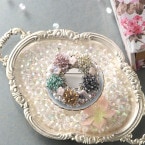 �ե��꡼�� �᥿��ե�  �ں�ȡ���ƣ�����á�