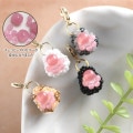 ˤ塼  ںȡarco iris  