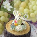 Candyӡʥ㥤ޥåȡ ںȡLovelyդ