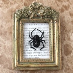 ����Υ֥�����  �ں�ȡ�ͭ���ҡ�