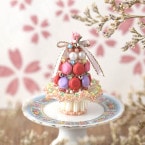 �ڸ���ۥ�������֥å�������󡦥������󥿥��  �ڥӡ����ޥ˥���